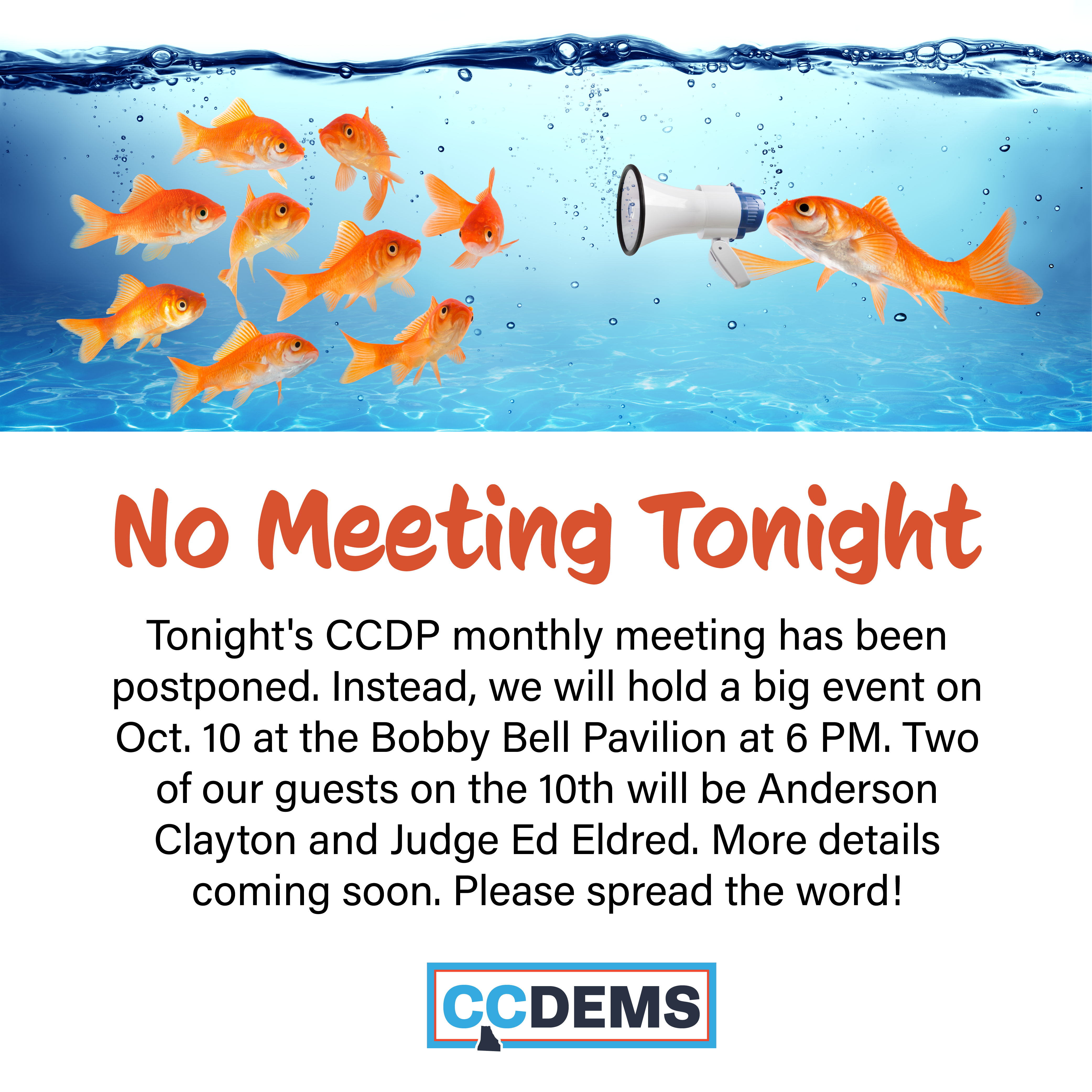 No Meeting Tonight